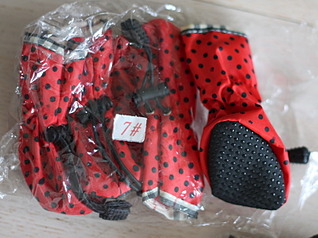 click for enlarge 800 X 597 179.2 Kb picture