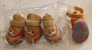 click for enlarge 800 X 436 117.3 Kb picture