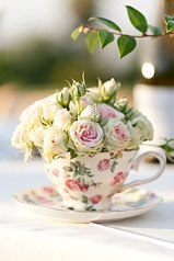 click for enlarge 533 X 800 57.1 Kb picture