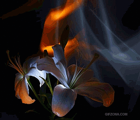 click for enlarge 400 X 343 2.4 Mb picture