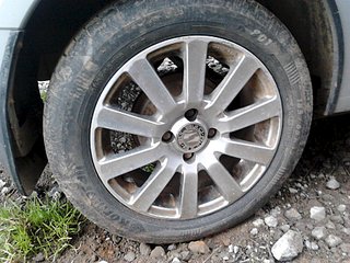 click for enlarge 1920 X 1440 413.4 Kb picture