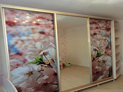 click for enlarge 800 X 600 57.9 Kb picture