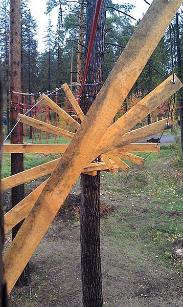 click for enlarge 361 X 604 84.0 Kb picture