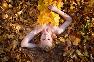 click for enlarge 1920 X 1266 735.7 Kb picture