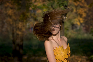 click for enlarge 1920 X 1268 437.7 Kb picture