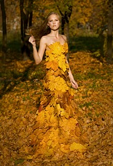 click for enlarge 1920 X 2811 399.6 Kb picture