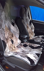 click for enlarge 1920 X 3044 613.2 Kb picture