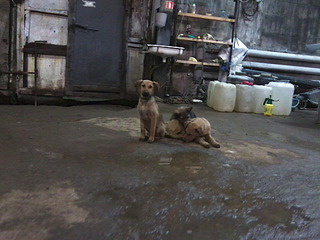 click for enlarge 1920 X 1440 478.8 Kb picture