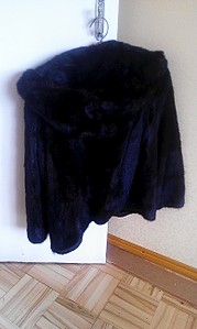 click for enlarge 1552 X 2592 860.8 Kb picture