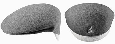 click for enlarge 459 X 177 15.7 Kb picture