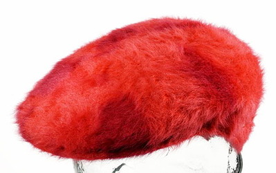 click for enlarge 485 X 304 32.7 Kb picture