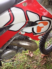 click for enlarge 480 X 640 147.7 Kb picture