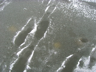 click for enlarge 1920 X 1440 894.0 Kb picture