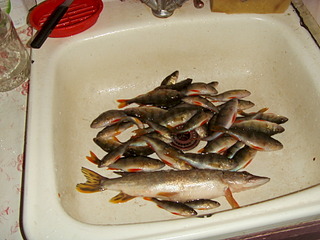 click for enlarge 1920 X 1440 497.3 Kb picture