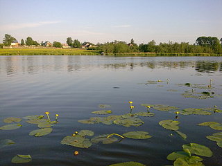 click for enlarge 1920 X 1440 493.8 Kb picture