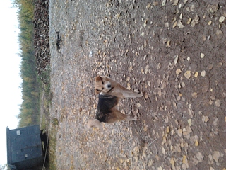 click for enlarge 1920 X 1440 243.7 Kb picture