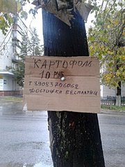 click for enlarge 450 X 600  62.8 Kb picture