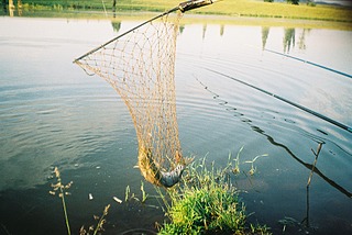 click for enlarge 1840 X 1232 777.0 Kb picture