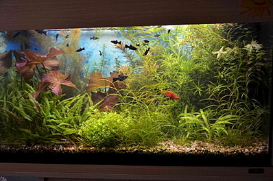click for enlarge 1920 X 1271 731.1 Kb picture