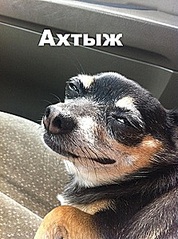 click for enlarge 223 X 299 32.2 Kb picture