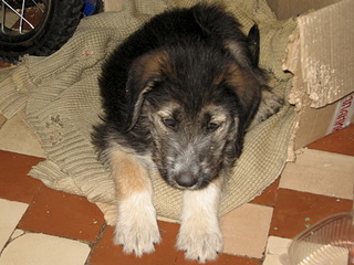 click for enlarge 1920 X 1440 757.4 Kb picture