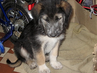 click for enlarge 1920 X 1440 762.1 Kb picture