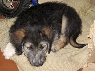 click for enlarge 1920 X 1440 693.9 Kb picture