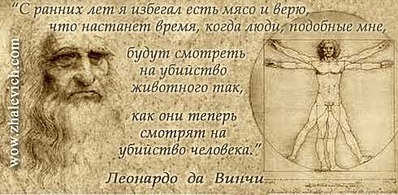 click for enlarge 490 X 240  23.0 Kb picture