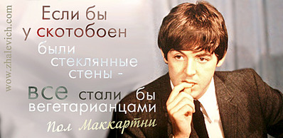 click for enlarge 490 X 240  47.8 Kb picture