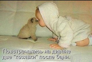 click for enlarge 550 X 369 41.4 Kb picture