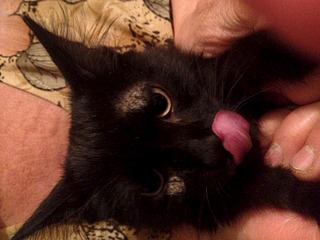 click for enlarge 1920 X 1440 654.6 Kb picture