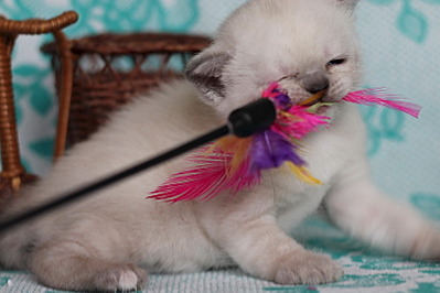 click for enlarge 800 X 533 119.2 Kb picture