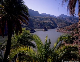 click for enlarge 985 X 768 565.7 Kb picture