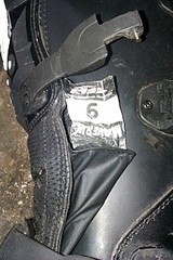 click for enlarge 1728 X 2592 521.5 Kb picture