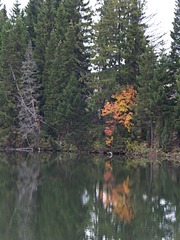 click for enlarge 1920 X 2560 490.5 Kb picture