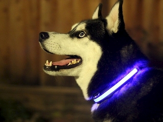 click for enlarge 590 X 442 104.5 Kb picture