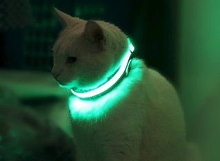 click for enlarge 590 X 431 78.7 Kb picture