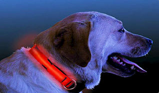 click for enlarge 458 X 269 22.3 Kb picture