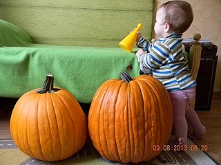 click for enlarge 400 X 300 63.6 Kb picture