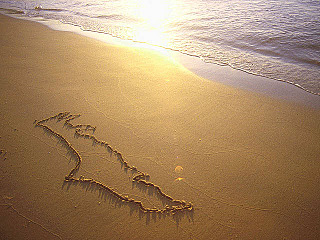 click for enlarge 640 X 480 82.5 Kb picture