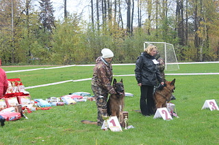 click for enlarge 1920 X 1280 835.8 Kb picture