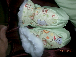 click for enlarge 1920 X 1440 129.3 Kb picture