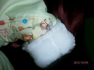 click for enlarge 1920 X 1440 121.8 Kb picture