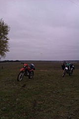 click for enlarge 1728 X 2592 662.9 Kb picture