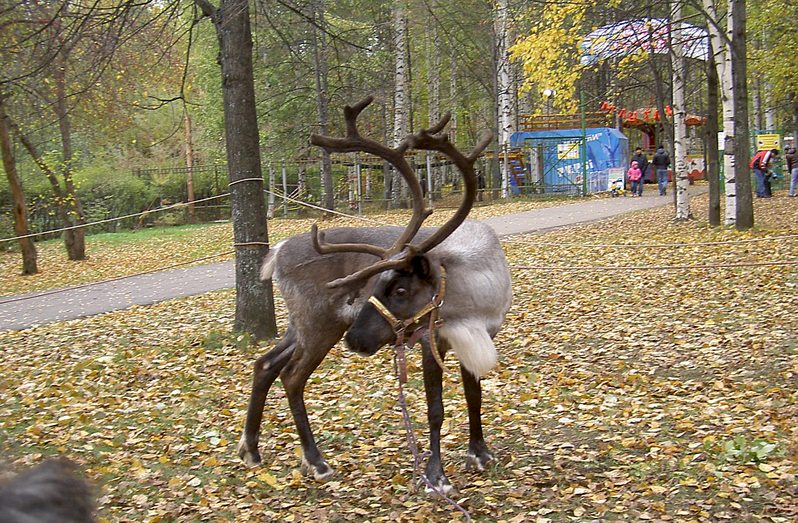 click for enlarge 1920 X 1257 634.4 Kb picture