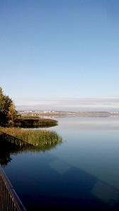 click for enlarge 1728 X 3072 428.5 Kb picture
