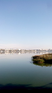 click for enlarge 1728 X 3072 365.0 Kb picture