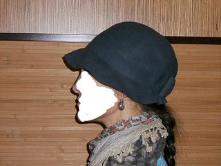 click for enlarge 1024 X 768 153.3 Kb picture