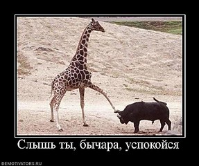 click for enlarge 658 X 550 69.7 Kb picture