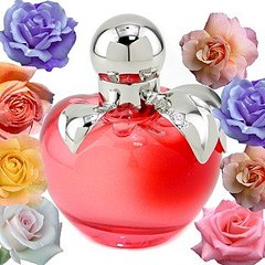 click for enlarge 350 X 350 34.8 Kb picture